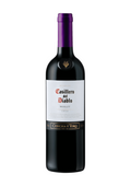 Cas D Diablo Res Merlot 2020 750ml