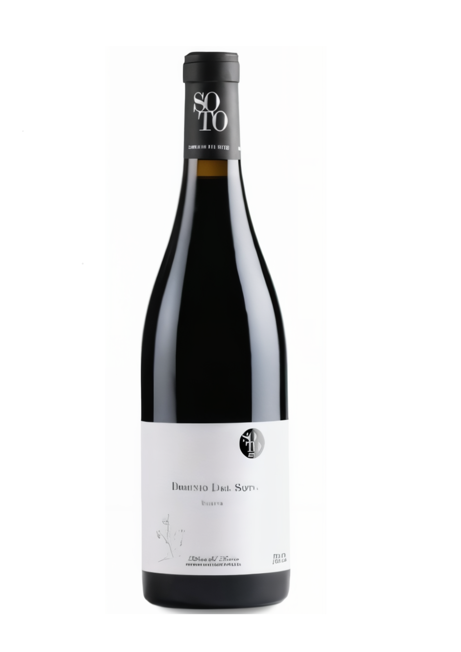 Dominio Del Soto Reserva 2019 750ml