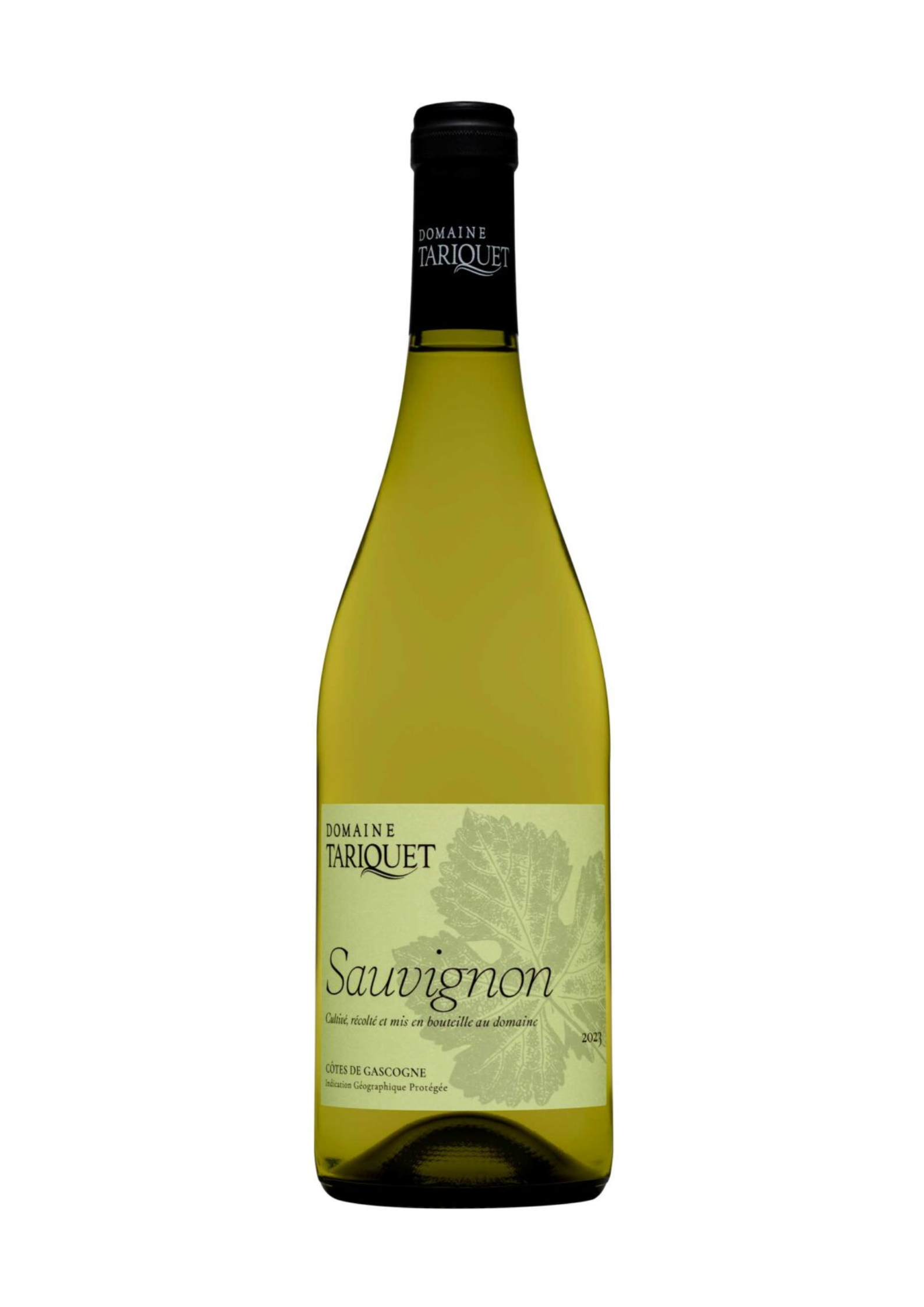 Domaine Tariquet Sauvignon 2023  750ml