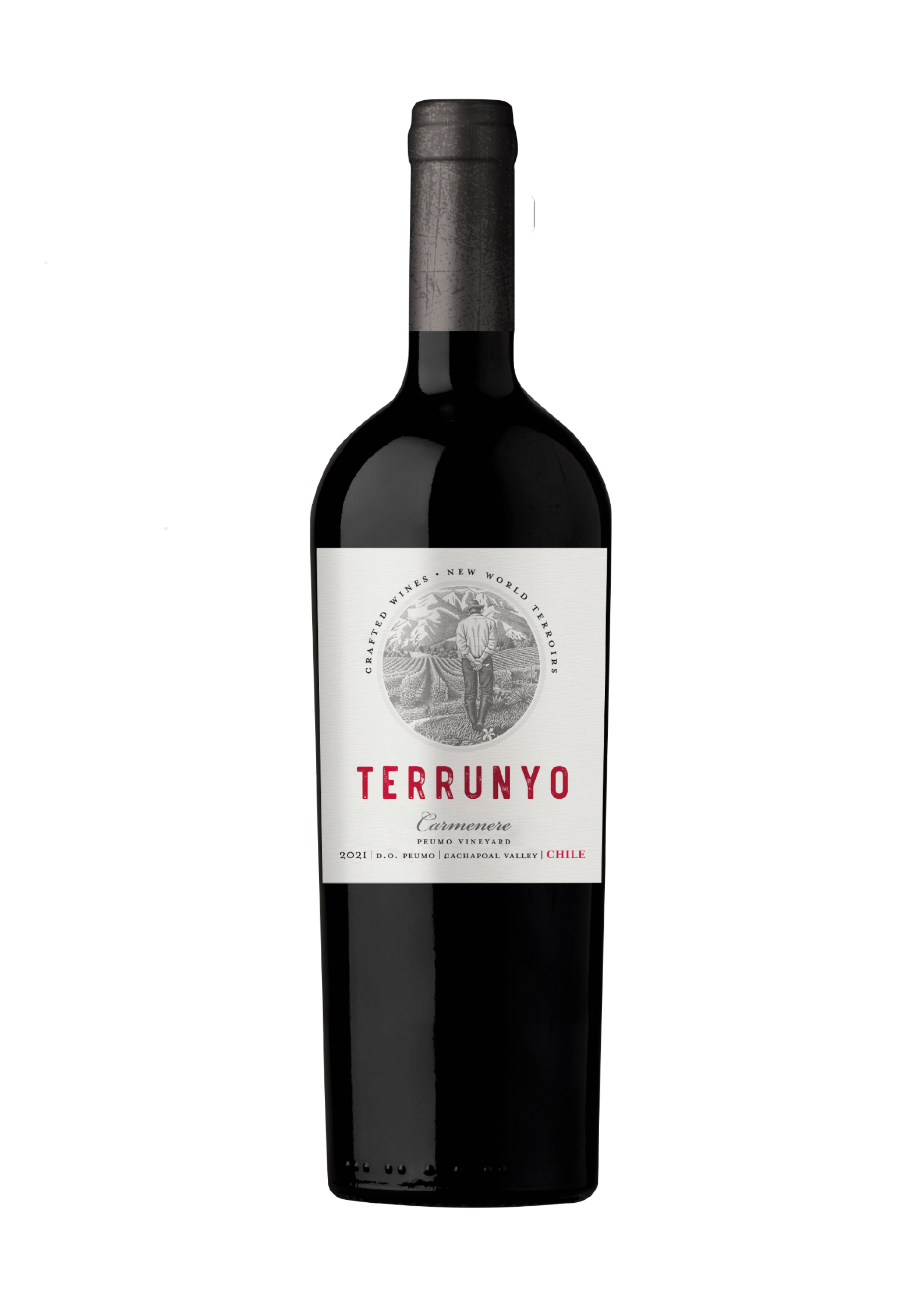 Terrunyo Carmenere 2018 750ml